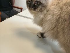 -剧狐剧本杀·月球探案馆(人民广场1号店)