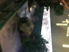 -潮上潮(南中环店)