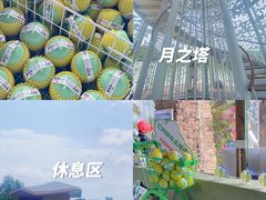 -东寨港红树林旅游区