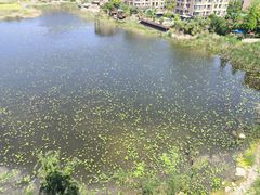 -南湖国家城市湿地公园
