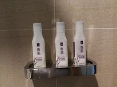 -麗枫酒店(广州珠江新城地铁站店)