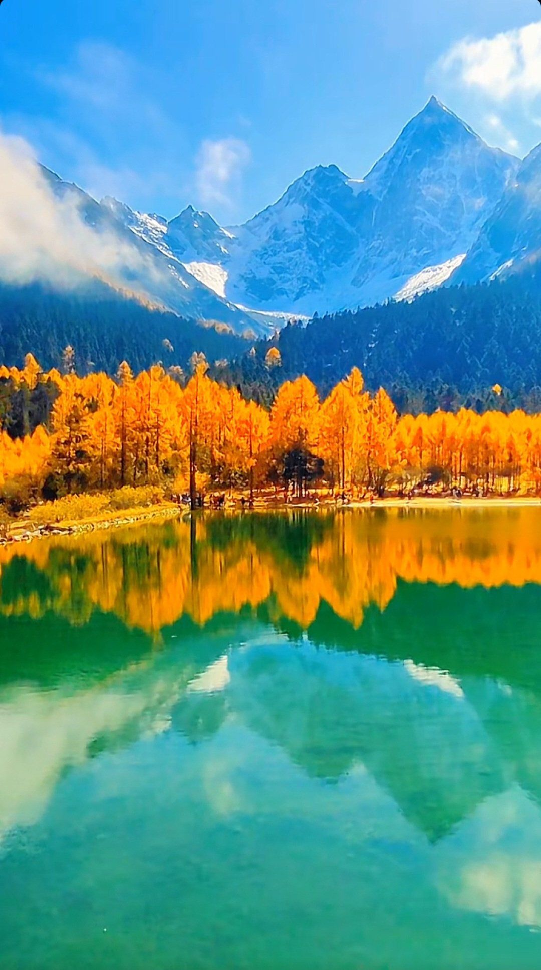 大自然的绝美风景