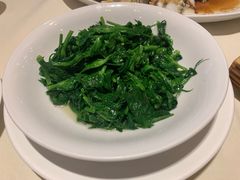 鸡油炒豆苗-利苑酒家(华熙国际店)