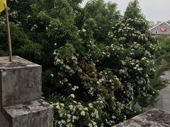 景点-蒋氏故居