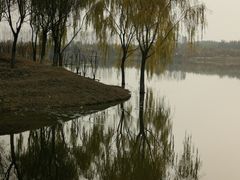-东郊湿地公园