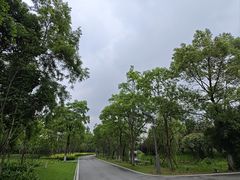 -洋湖国家湿地公园