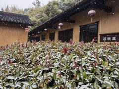 -崇阳三特浪口温泉