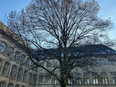 -卢森堡圣母教堂