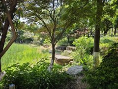 -梅溪湖城市岛