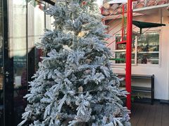 -EATALIA意塔利意式餐厅(鼓楼店)