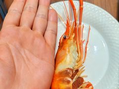 -蟹天蟹地农家菜·阳澄湖大闸蟹(浅水湾店)