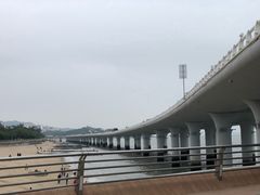 -演武大桥观景平台