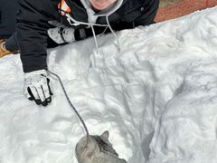 -广元曾家山国际滑雪场