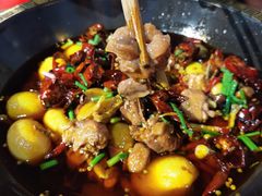 -一只烧鸡公(解放碑店)