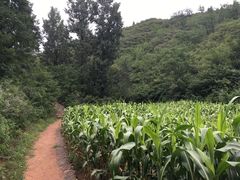 -蟠龙山长城景区