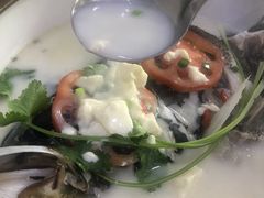 -全乐鱼馆·淳牌有机鱼直营店