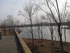 -东郊湿地公园