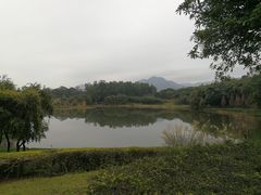 -福建鲤鱼洲酒店