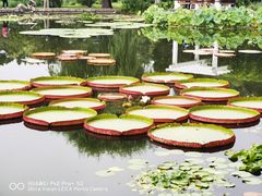 -国家植物园南园