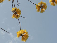 -光明港公园