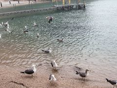 -海驴岛(荣成市)