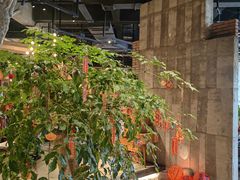 -园里火锅(仁和新城店)