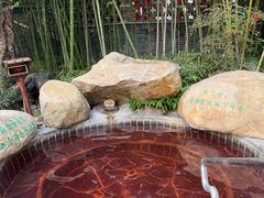 -观唐（国际）度假村温泉