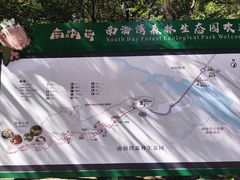 -南海湾森林生态园