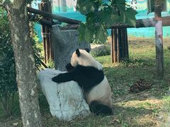 -临沂动植物园