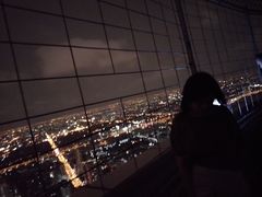 -彩虹云霄拜约克摩天塔