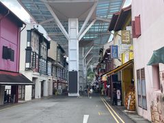 -新加坡佛牙寺龙华院