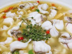 -青花椒花椒鱼(合生汇店)