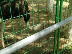 -长白岛森林公园