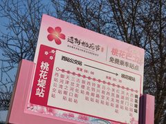-桃花堤公园