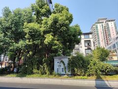 -五娭毑臭豆腐(黄兴南路店)