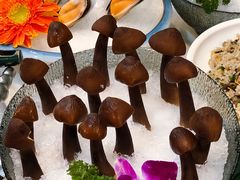 鸡枞菌-喜聚薈·花膠雞海鮮火鍋(越秀店)