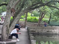 -普陀山风景名胜区-法雨禅寺
