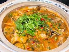 太平湖有机胖头鱼-魏铭鱼头捞饭(晋阳路店)