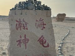 -哈密雅丹大海道景区
