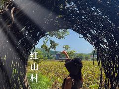 -红山村