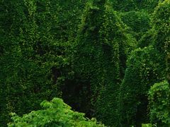 -吴山景区