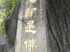 -南普陀寺
