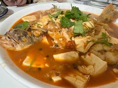 -煲来饱去冷水鱼