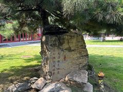 -护国法轮寺