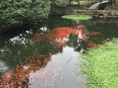 -普陀山风景名胜区-法雨禅寺