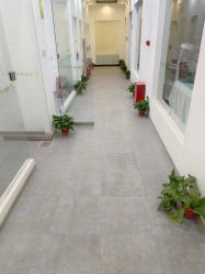 -莱可美科技美肤