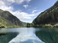 -五营红松林海景区