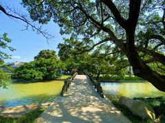 -江心屿景区