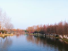 -滨湖塘西河公园