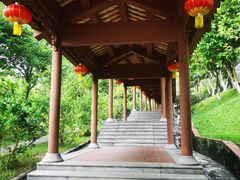 -广州神农草堂中医药博物馆